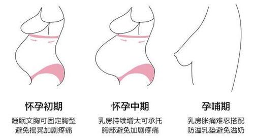 怀孕初期乳房图片,初识怀孕初期的乳房变化图解