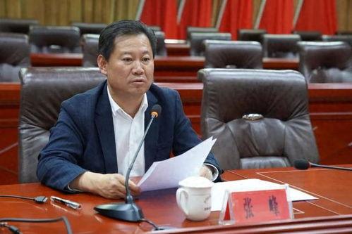 张峰 背景,从平凡走向卓越的奋斗历程