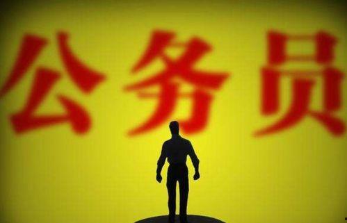 没背景的公务员,奋斗与成长之路