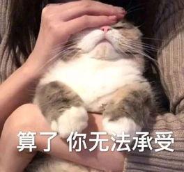 变美茶表情包,轻松解锁美丽心情，笑对生活挑战